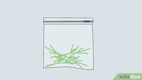 Image titled Grow Dill Step 18