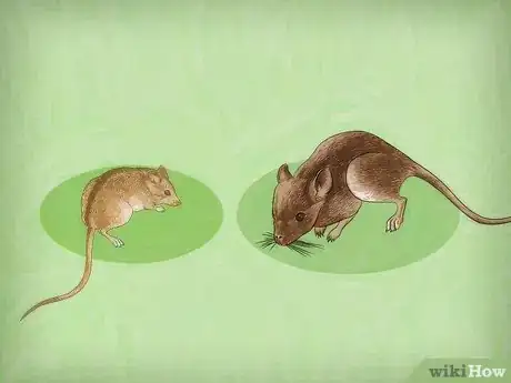 Image titled Control Mice Step 21
