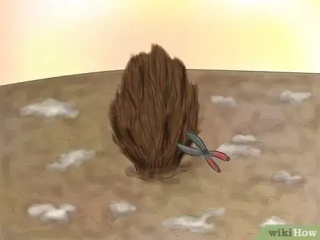 Image titled Grow Knockout Roses Step 13