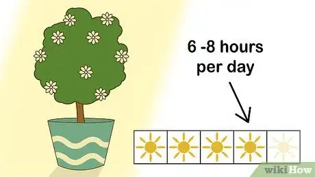 Image titled Care for a Gardenia Step 2