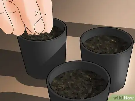 Image titled Extend Your Gardening Season Step 8