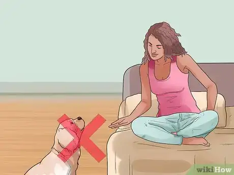 Image titled Show Your Dog Where He Is in the Pack Step 2