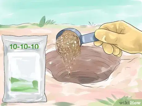 Image titled Plant Peonies Step 9