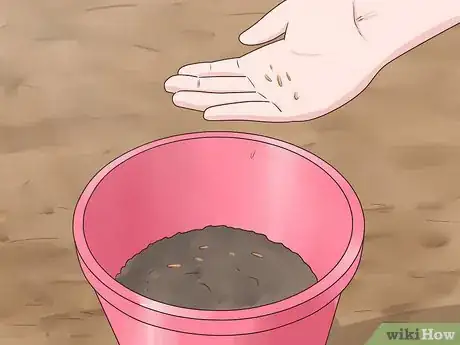 Image titled Plant Vinca Minor Step 5