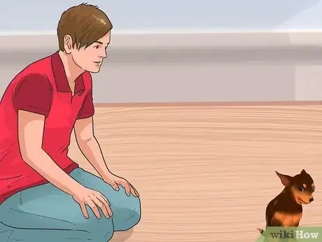 Image titled Understand Small Dog Syndrome Step 3
