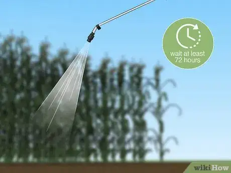 Image titled Reduce Bee Poisoning from Pesticides Step 4