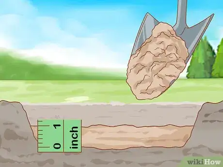 Image titled Grow Long Stem Roses at Home Step 10