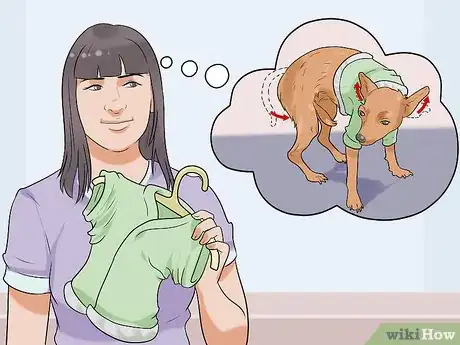 Image titled Dress Your Dog Step 8