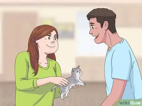 Image titled Find Homes for a Litter of Kittens Step 9