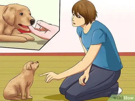 Image titled Get Your Puppy to Stop Biting Step 9
