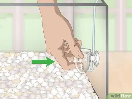 Image titled Set up a Planted Goldfish Aquarium Step 5