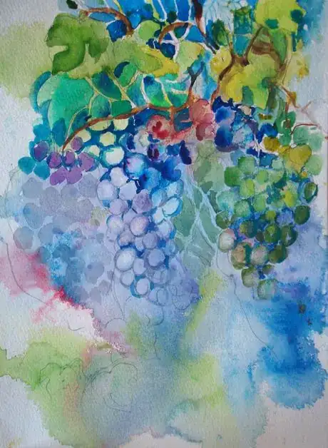 Image titled Grapesunderway