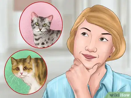 Image titled Pick a Healthy Adult Cat Step 4