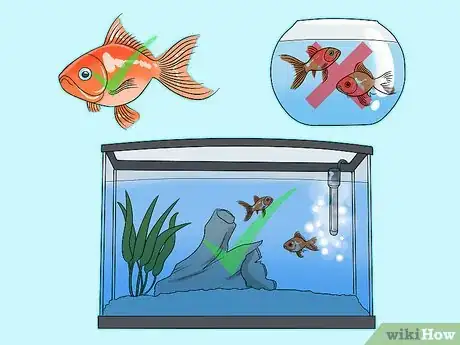 Image titled Ensure Your Pet Fish Are Healthy Step 6