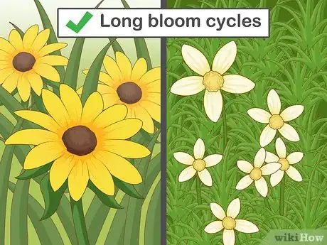Image titled Pick Low Maintenance Perennials for Your Garden Step 7