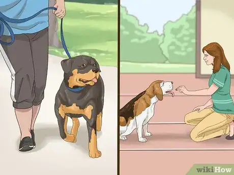 Image titled Manage Behavioral Dysfunction in Older Dogs Step 6