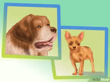 Image titled Decide Whether to Get a Second Dog Step 11