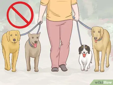 Image titled Become a Dog Walker Step 10