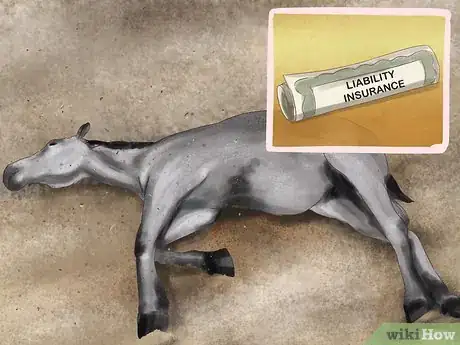 Image titled Insure Your Horse Step 4