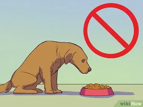 Image titled Calm a Male Dog when a Female Is in Heat Step 9