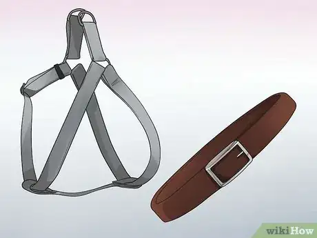 Image titled Walk Two Dogs at the Same Time on Leashes Step 1