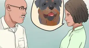 Care for Rottweilers