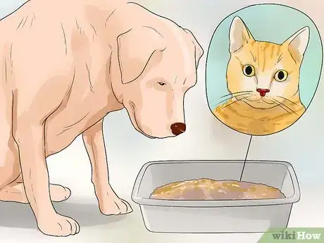 Image titled Make Your Dog Like Your Cat Step 6