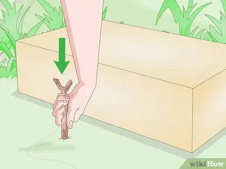 Image titled Trap a Robin Bird Step 4