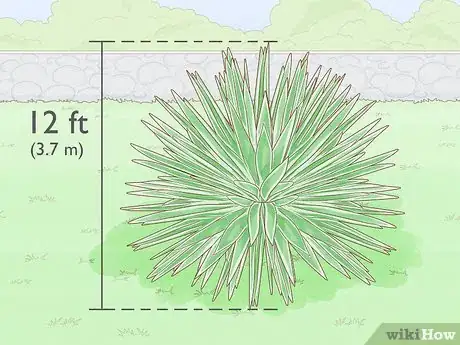 Image titled Choose Succulents Step 4