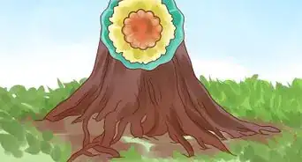 Make Inexpensive Flower Plate Garden Art