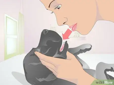 Image titled Perform CPR on a Dog Step 7