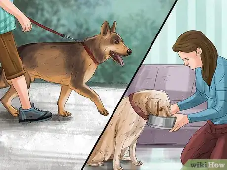 Image titled Prepare Your Dog for the Vet Step 11