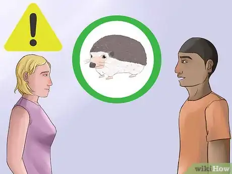 Image titled Buy a Hedgehog Step 4