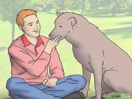 Image titled Adopt a Dog from a Breed Rescue Step 10