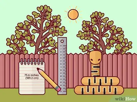 Image titled Identify a Timber Rattlesnake Step 3