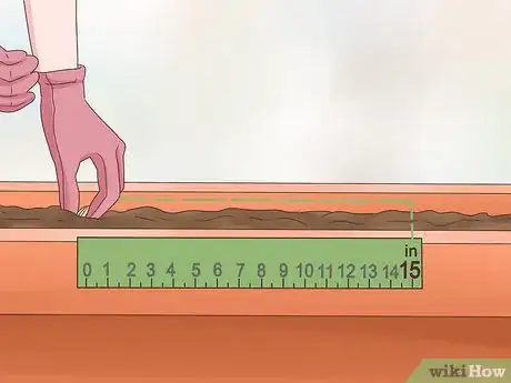 Image titled Grow Dill Indoors Step 4