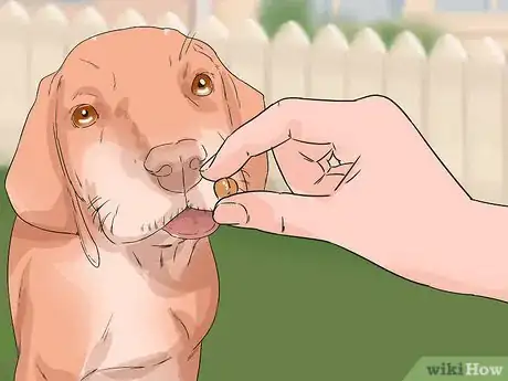 Image titled House Train Your Dog in Less than a Week Step 10