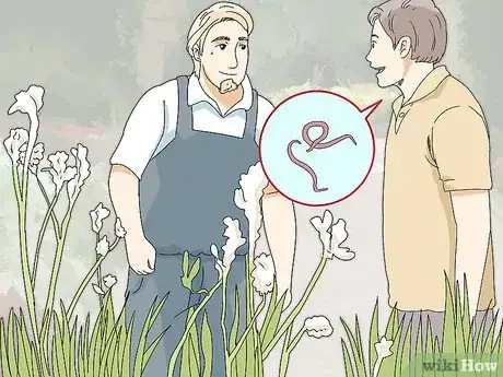 Image titled Prevent Flea Bites Step 15