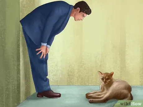 Image titled Spot Feline Diabetes Step 9