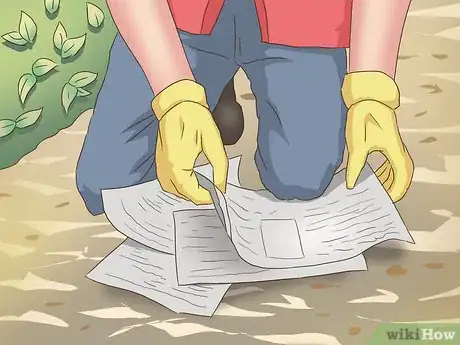 Image titled Reuse Old Newspapers Step 6