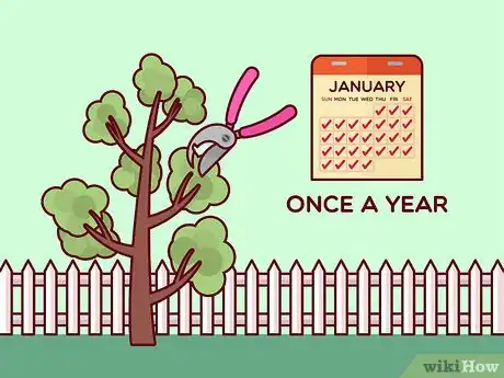 Image titled Do Basic Dormant Season Pruning Step 13
