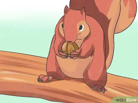 Image titled 1555191 18