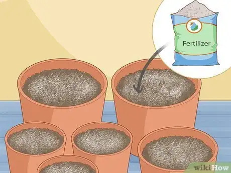 Image titled Garden During Coronavirus Step 16