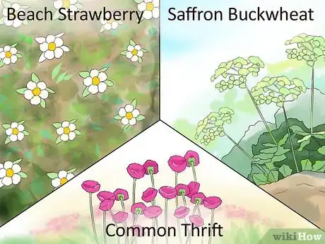 Image titled Design a Beach‐Themed Garden Step 7