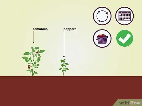 Image titled Choose Vegetables to Grow Step 16