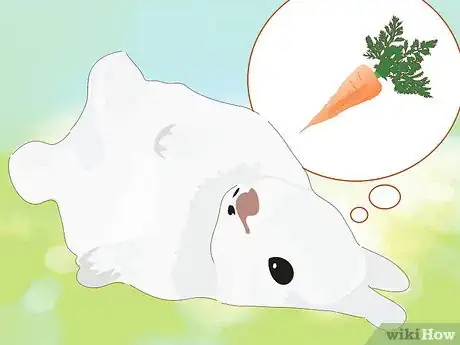 Image titled Address Biting and Aggressive Behavior in a Rabbit Step 3