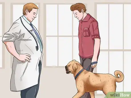 Image titled Care for Puggles Step 11