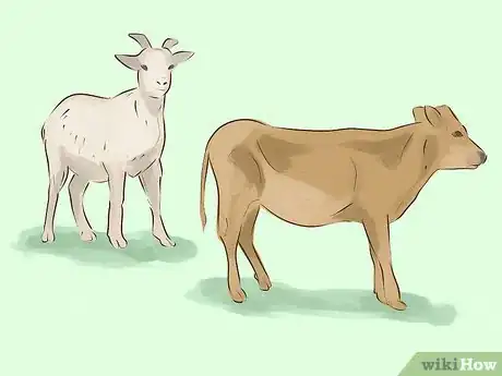 Image titled Celebrate Eid Step 11