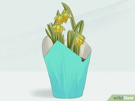 Image titled Fertilize Daffodils Step 6
