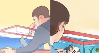 Make Your Fish Live Longer